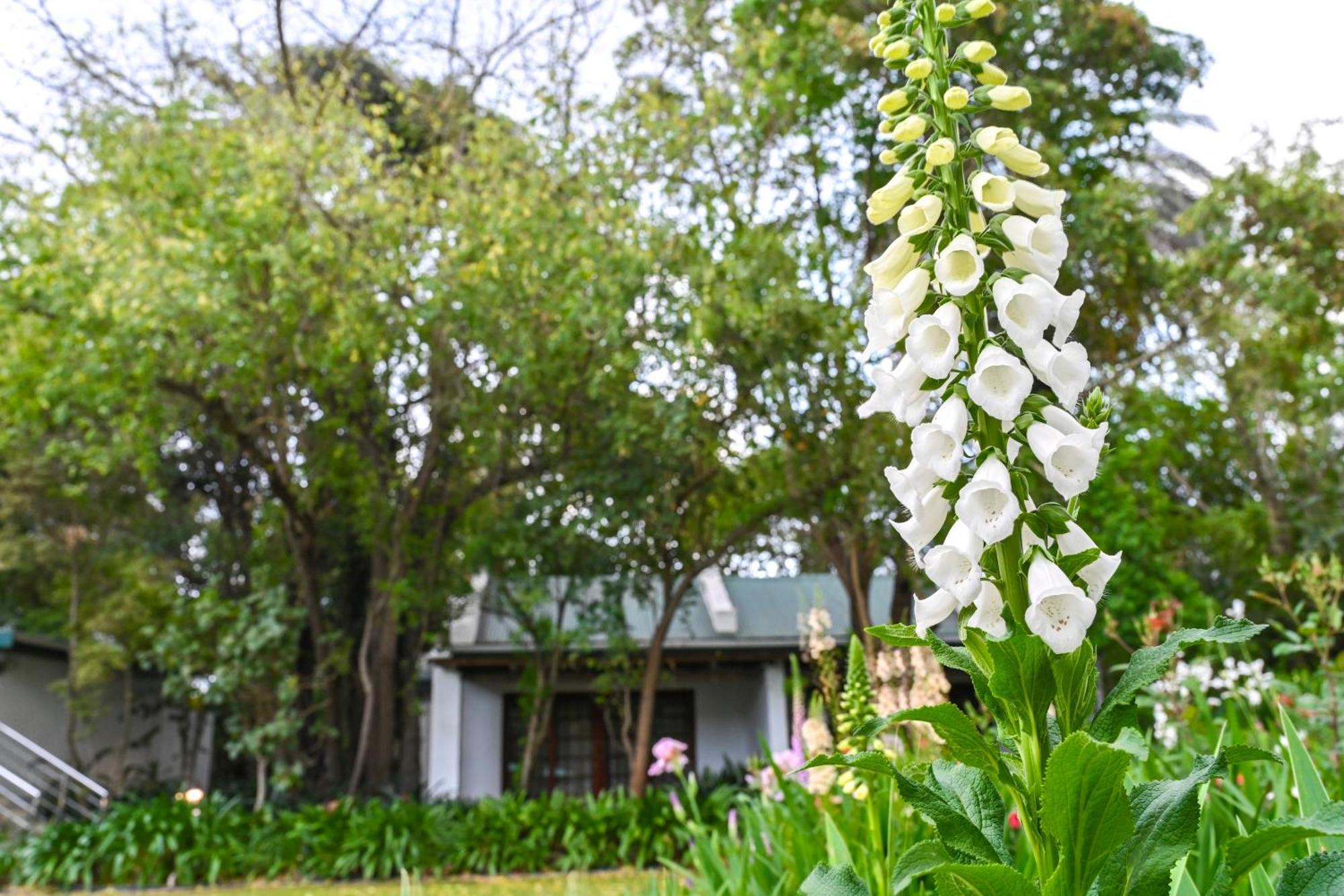 Woodall Country House And Spa Addo Exterior photo